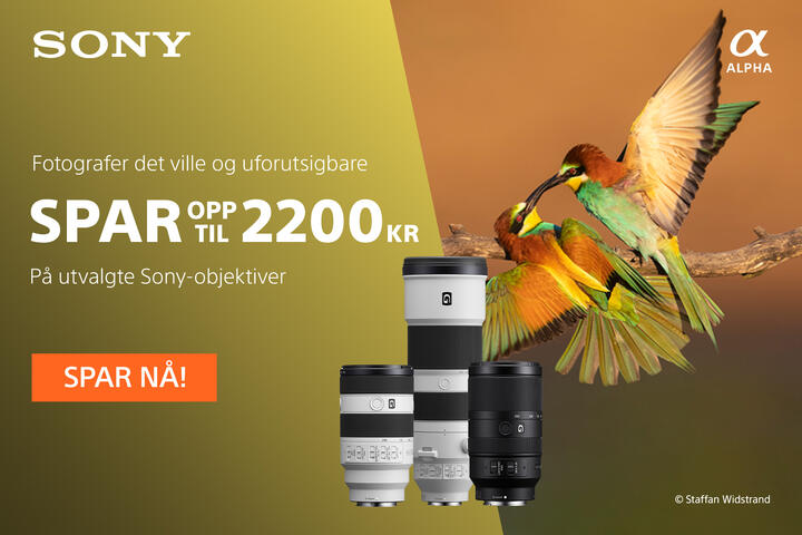 Sony wildlife